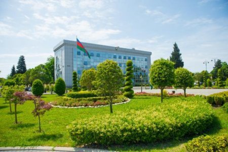 Babək Cəfərov: Lənkəranın Yaşıllaşdırma Sahəsindəki Liderliyi və Ekoloji Məsuliyyəti