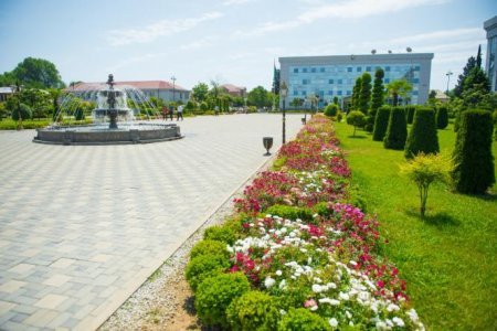 Rəşad Quliyev – Mamusta kəndinin yeni ümid və gələcəyi